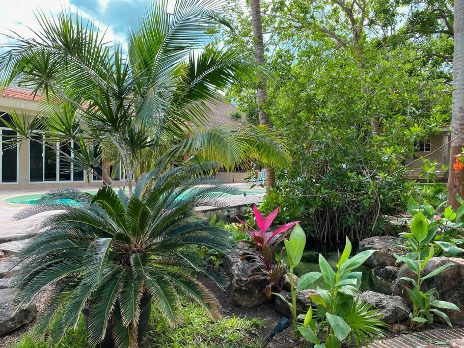 Casa Paamul Villa Playa del Carmen Dış mekan fotoğraf